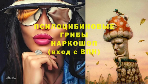 СК Алзамай