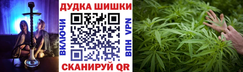блэк спрут вход  Карачев  Бошки марихуана план 